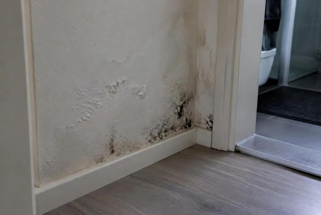 Lekdetectie Gouda – vochtplek met schimmel op een muur
